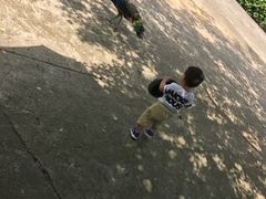 -柳州市动物园