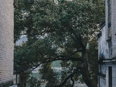 -溪口-滕头旅游景区