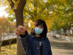 -三里屯东五街银杏大道
