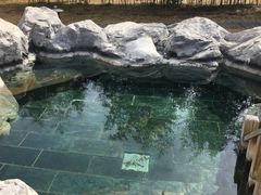 -和园景逸大酒店朗月汤泉