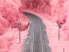 -正宗天津烧麦馆(柳州路店)