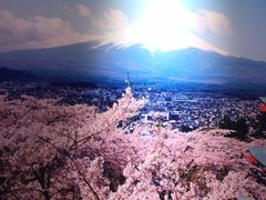 -万岁寿司(芳村店)