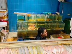 水产区-肥信潮菜(科新路店)