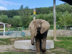 -哈尔滨北方森林动物园