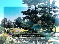-上海辰山植物园