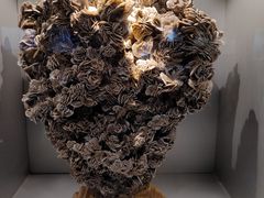 -甘肃地质博物馆