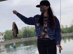 -特种渔场