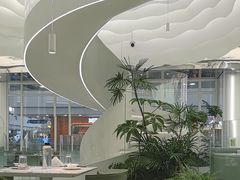 -大树餐厅(万达创始店)