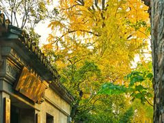 -惠山古镇·寄畅园