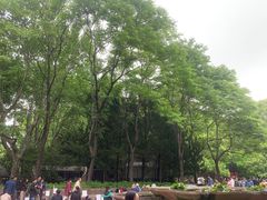 -人民公园-相亲角