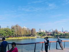 -四海公园(南山区)