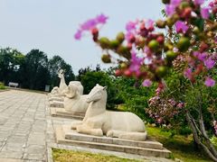 -北京十三陵国家森林公园蟒山景区