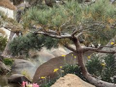 -罗红摄影艺术馆