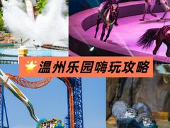 -温州乐园