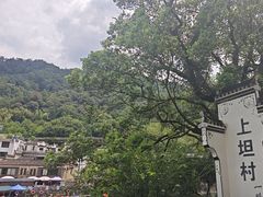 -上坦村