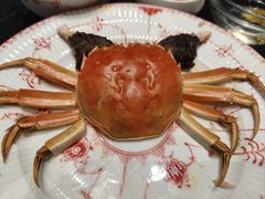 -新光酒家·河豚·海鲜·蟹料理(浦东店)