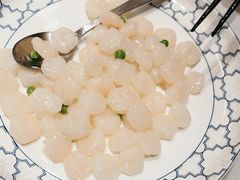 -新吉士·上海菜(浦东LCM置汇旭辉店)