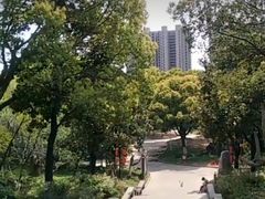 -花溪公园