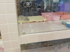 -FAELING PETS美天灵宠物(富力广场店)