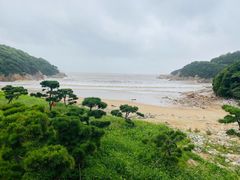 -印象普陀
