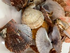 -宾朋海鲜特色美食餐厅·纯手工鲅鱼水饺(兴海路店)