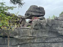 -梭布垭石林景区