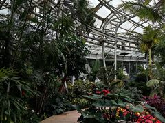 -北京植物园-展览温室