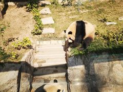 -石排湾郊野公园