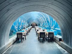 -涛·海底餐厅·美人鱼·自助餐·海底隧道(三亚海棠湾洲际度假酒店)