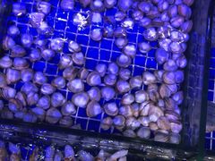 -青蓬蒸汽海鲜·深圳老字号·团建聚会(壹方城店)
