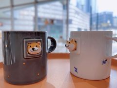 -柴务处·柴犬主题狗咖