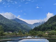 -卧龙中华大熊猫苑神树坪基地
