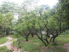 -紫霞湖公园