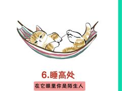 -北京派仕佳德动物医院·超导核磁·CT·神经科·骨科·内外科·急重症管理中心