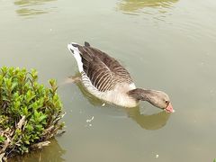 -西安浐灞国家湿地公园