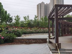 -坝河休闲公园