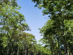 -江苏三台山国家森林公园
