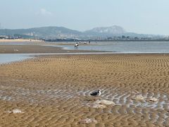 -辽宁团山国家级海洋公园
