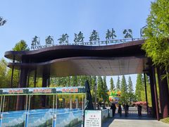 -黄海国家森林公园