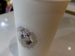 -Husky Go! 哈士奇体验馆·宠物咖啡厅狗咖