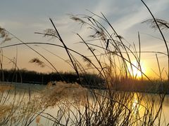 -西青郊野公园