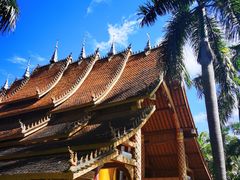 -西双版纳傣族园