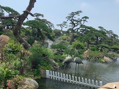 -罗红摄影艺术馆