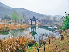 -石塘人家