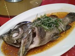 -圣丰盛宴酒家(东城店)