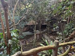 -海南槟榔谷黎苗文化旅游区