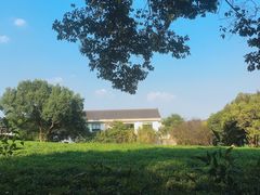 -中国茶叶博物馆(双峰馆区)