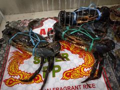 -横行八道海鲜(裕廊西店)