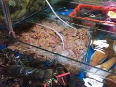 -七点半海鲜大咖·啤酒屋(威海路步行街小区店)