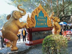 -西双版纳傣族园